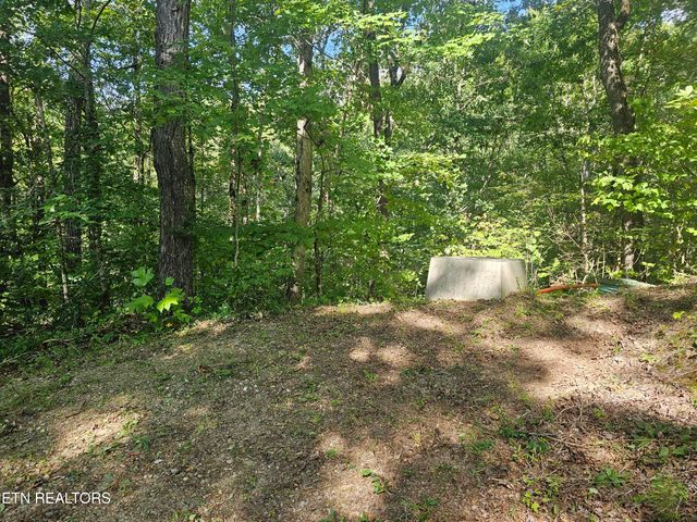 231 Low Gap Tr, Townsend, TN 37882