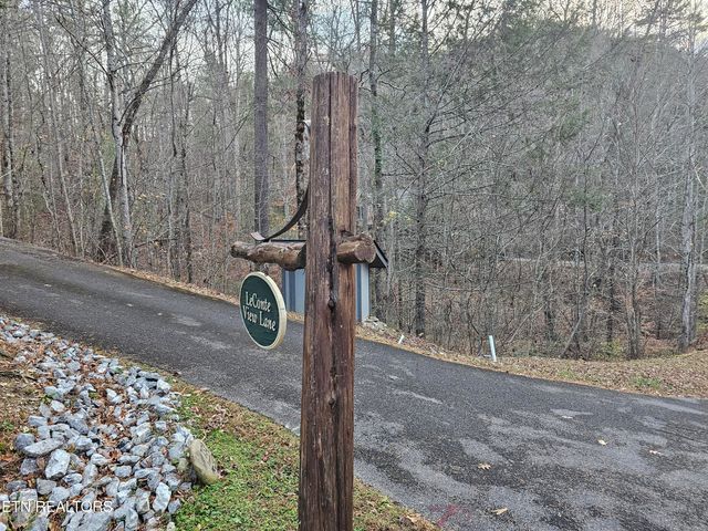 231 Low Gap Tr, Townsend, TN 37882