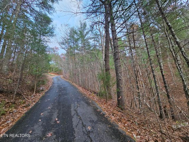 231 Low Gap Tr, Townsend, TN 37882