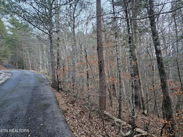 231 Low Gap Tr, Townsend, TN 37882