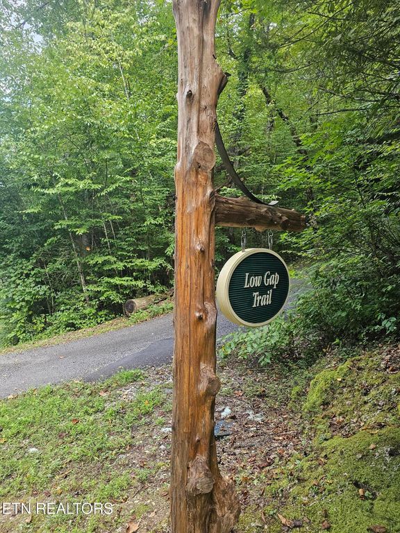 231 Low Gap Tr, Townsend, TN 37882