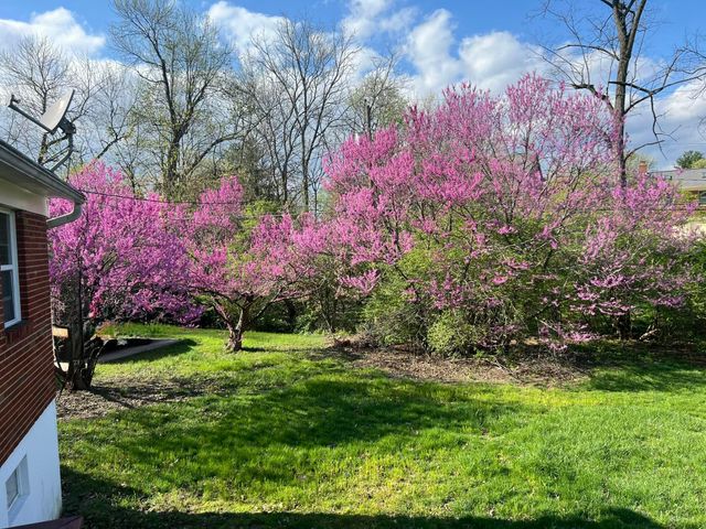736 Lakeshore Drive, Villa Hills, KY 41017