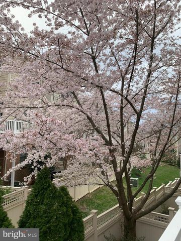 6739 DARRELLS GRANT PL, Falls Church, VA 22043