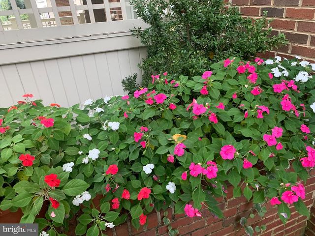 6739 DARRELLS GRANT PL, Falls Church, VA 22043