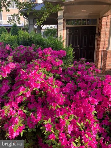 6739 DARRELLS GRANT PL, Falls Church, VA 22043