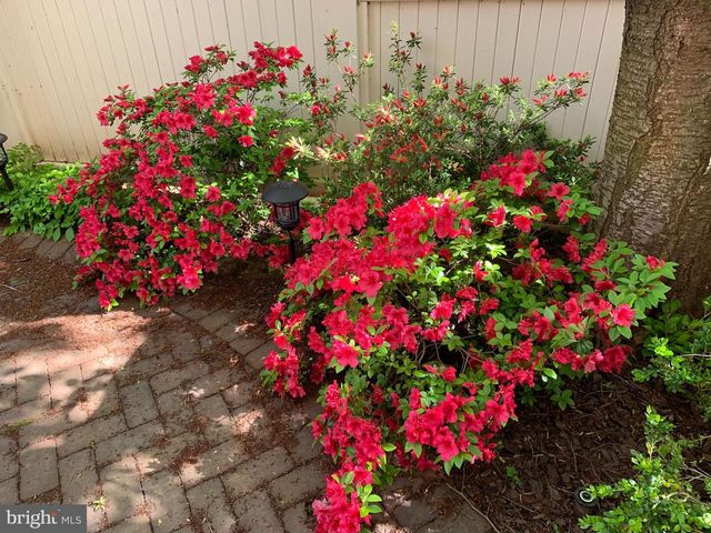 6739 DARRELLS GRANT PL, Falls Church, VA 22043