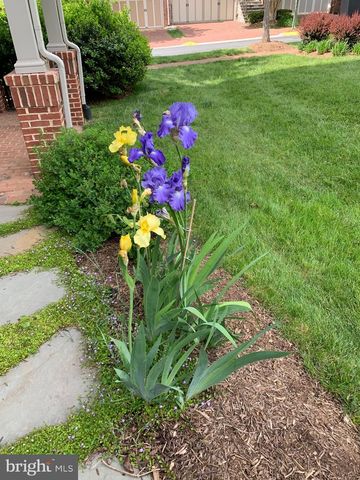 6739 DARRELLS GRANT PL, Falls Church, VA 22043