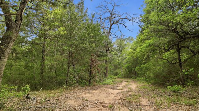 1165 Cr 213, Weimar, TX 78962
