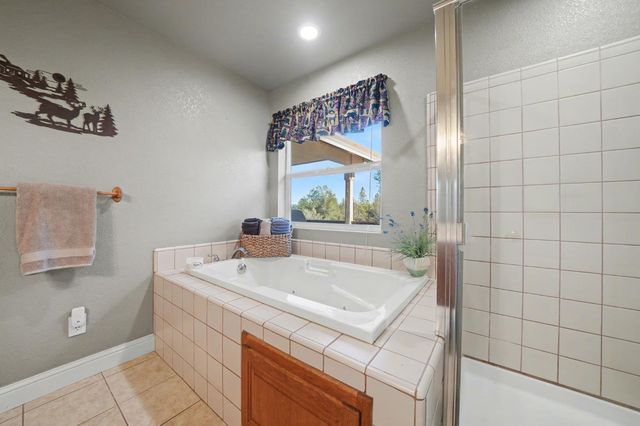 13996 Toma Ln, Pine Grove, CA 95665