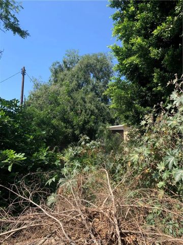 5172 Lakeview Avenue, Yorba Linda, CA 92886