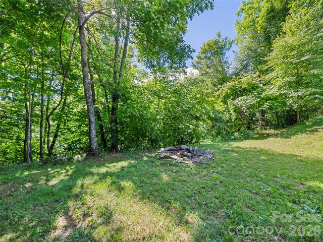51 Stony Pond Lane, Canton, NC 28716
