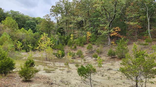 607 Sumac Lane, Marshfield, MO 65706