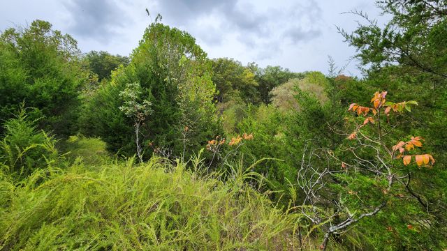 607 Sumac Lane, Marshfield, MO 65706
