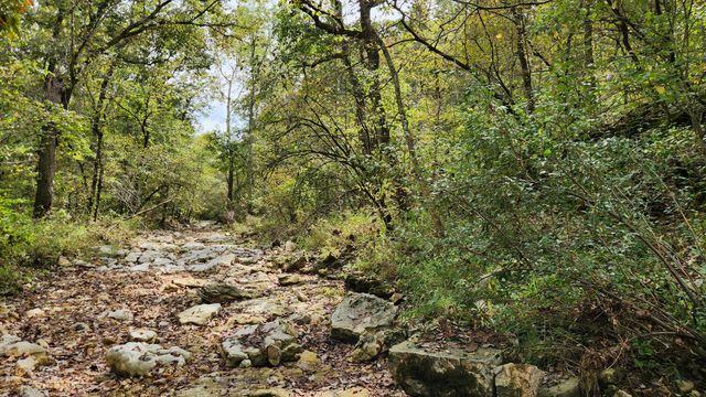 607 Sumac Lane, Marshfield, MO 65706