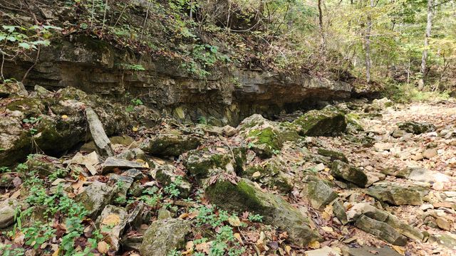 607 Sumac Lane, Marshfield, MO 65706