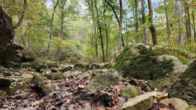 607 Sumac Lane, Marshfield, MO 65706