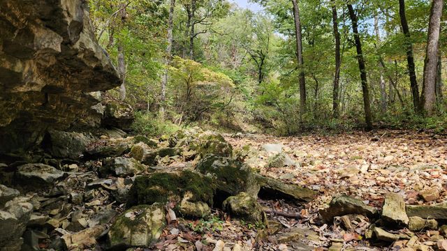 607 Sumac Lane, Marshfield, MO 65706