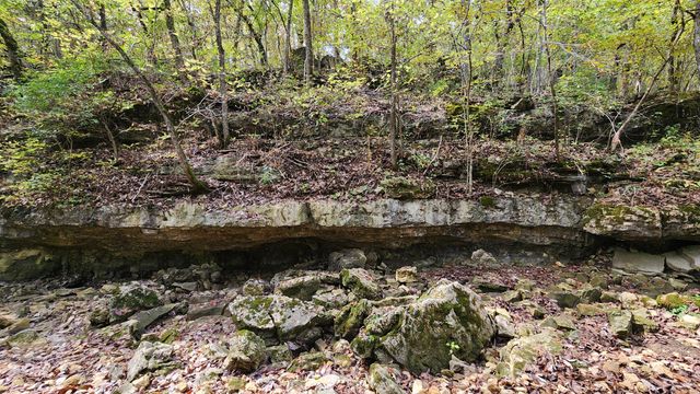607 Sumac Lane, Marshfield, MO 65706