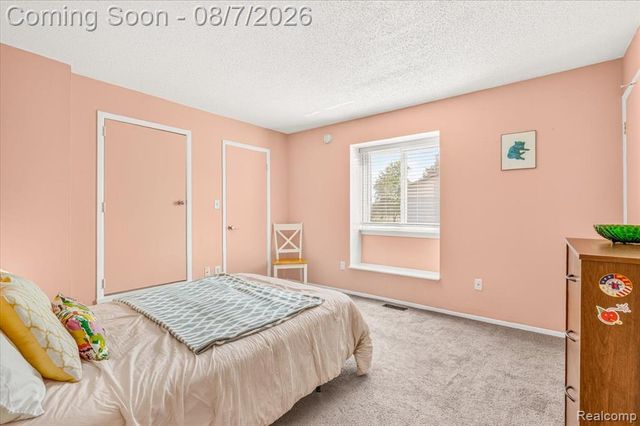 41282 N Woodbury Green Drive, Belleville, MI 48111