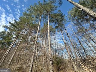 0 Ruckersville Road, Elberton, GA 30635