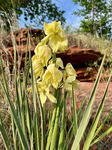 2204 NE 122nd Street, Edmond, OK 73013