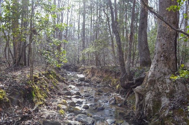 Cowpens Pacolet Rd, Spartanburg, SC 29307