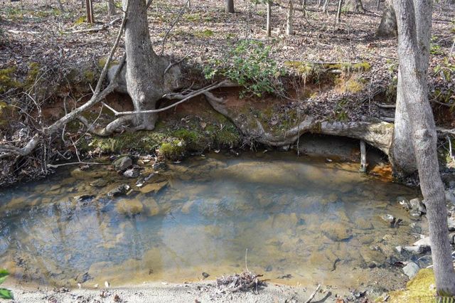 Cowpens Pacolet Rd, Spartanburg, SC 29307