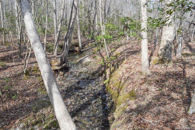 Cowpens Pacolet Rd, Spartanburg, SC 29307