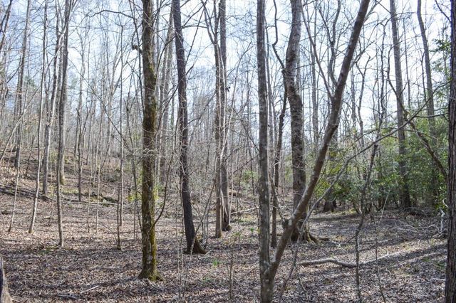 Cowpens Pacolet Rd, Spartanburg, SC 29307