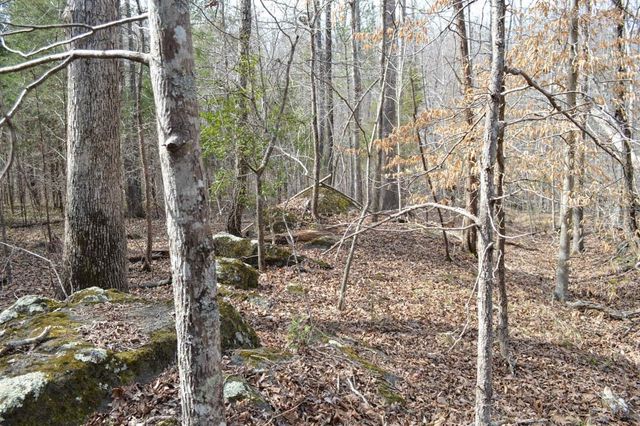 Cowpens Pacolet Rd, Spartanburg, SC 29307