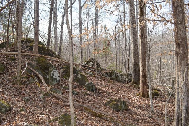 Cowpens Pacolet Rd, Spartanburg, SC 29307