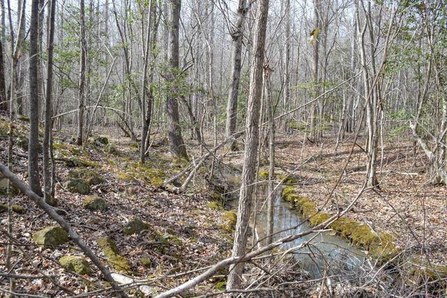 Cowpens Pacolet Rd, Spartanburg, SC 29307