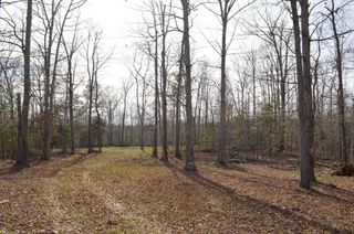 Cowpens Pacolet Rd, Spartanburg, SC 29307