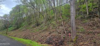 0 Black Walnut Flats Rd, Sevierville, TN 37862