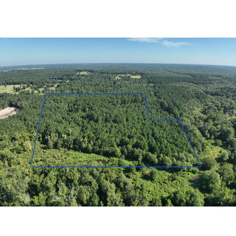 0000 Country Road 2756, Bivins, TX 75555
