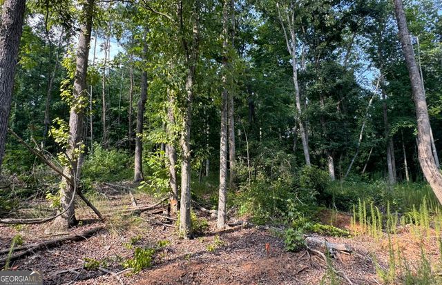 LOT 6 Parker Point, Cornelia, GA 30531