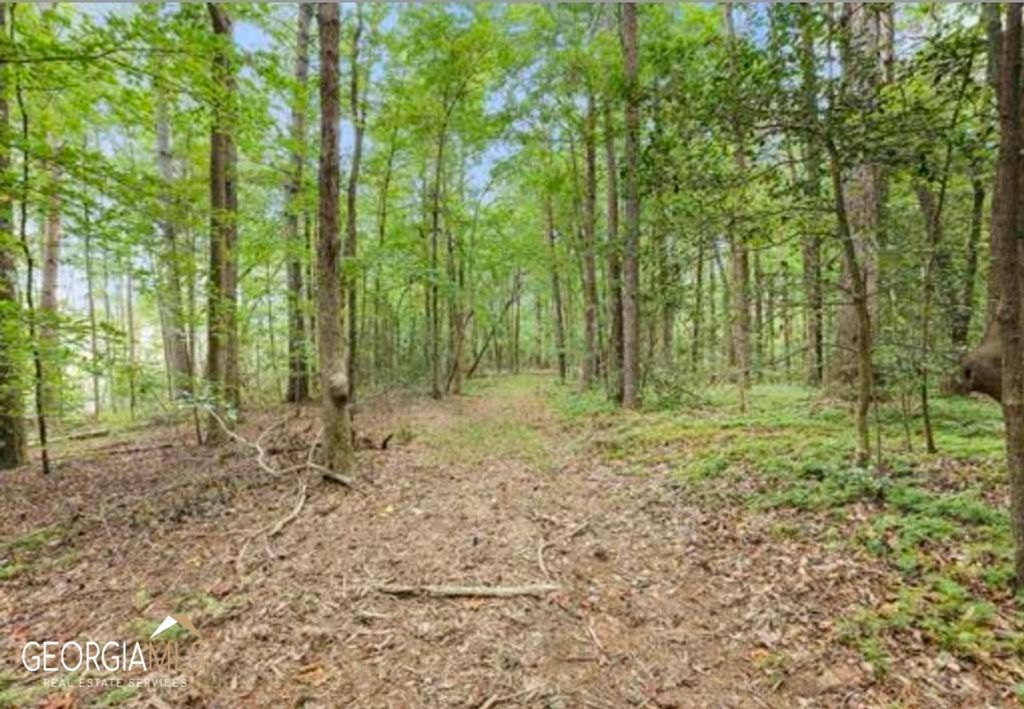 LOT 6 Parker Point, Cornelia, GA 30531