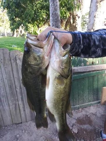 317 N Kika De La Garza Boulevard, La Joya, TX 78560