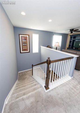 81 S Edge Cliff Street, Castle Rock, CO 80104