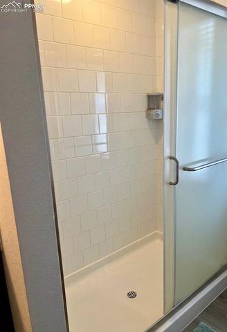 81 S Edge Cliff Street, Castle Rock, CO 80104