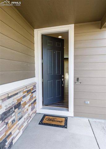 81 S Edge Cliff Street, Castle Rock, CO 80104