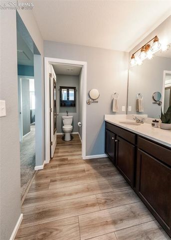 81 S Edge Cliff Street, Castle Rock, CO 80104