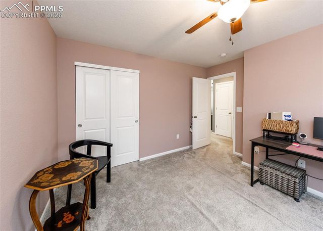 81 S Edge Cliff Street, Castle Rock, CO 80104