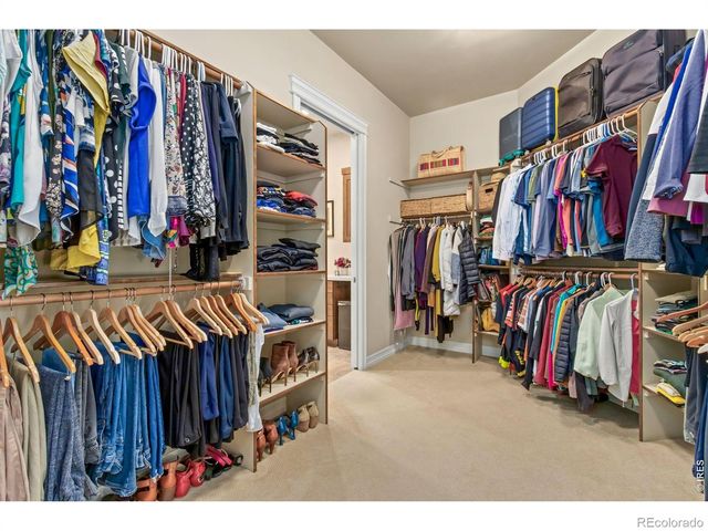 6846 Grand Park Drive, Timnath, CO 80547