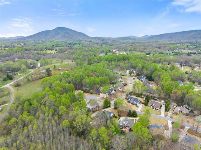 6595 Pond View Court, Clermont, GA 30527