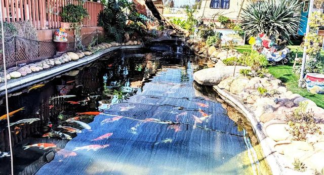 6951 W Lilac Road, Bonsall, CA 92003