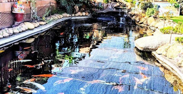 6951 W Lilac Road, Bonsall, CA 92003