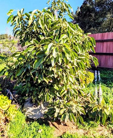 6951 W Lilac Road, Bonsall, CA 92003