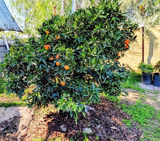 6951 W Lilac Road, Bonsall, CA 92003