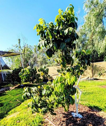 6951 W Lilac Road, Bonsall, CA 92003